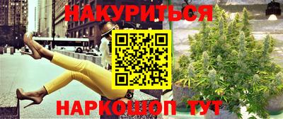 стаф Камышлов