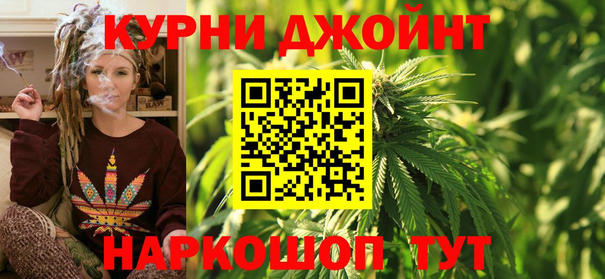 Марихуана сатива Кизляр